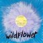 Wildflower