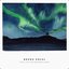 Once I saw the northern lights