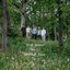 Stick Season - Single