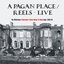 A Pagan Place/ Reels (Live)