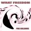 What Freedom (Pure Chillhouse)
