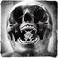 Fisticuffs - Single