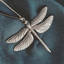 Avatar for Iris_Croatica