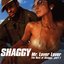 Mr. Lover Lover: The Best Of Shaggy, Part 1