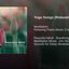 Deep Breathing Exercises – Peaceful Mind, Zen Meditation Music for Yoga Breathing Techniques & Mindfulness Meditation, Calming Nature Sounds for Contemplation and to Relieve Stress, Joga to Calm Down
