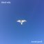 Zoom Pool - Single