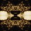 Black Triage (Bonus Track Version)