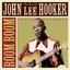 Boom Boom - The Best of John Lee Hooker