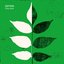 Polny Kwiat - Single