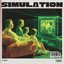 Simulation