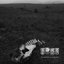 Unforgiving Landscapes