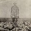 Beme Seed