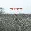 Catch The Tail - Single