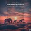 Walking On Clouds (Unseen Dimensions Remix)