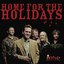 The Hoyle Brothers - Home for the Holidays album artwork