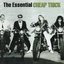 The Essential Cheap Trick (disc 2)