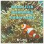 Clown Fish Swimming Underwater