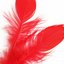 Red Feathers