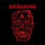 Solidaarsus