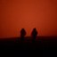 Losing Colours - Single