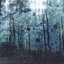 Decoyed