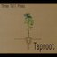 Taproot