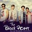 The Black Pony Support (Live in Betzdorf, 16.03.2012)