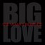 Big Love - Single