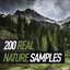 ! ! ! ! 200 Real Nature Samples ! ! ! !