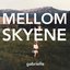 Mellom skyene