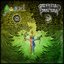 Aarni / Persistence in Mourning Split