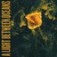 A Light Between Oceans [Explicit]