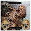 Human Decay