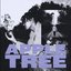 Apple Tree