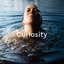 Curiosity