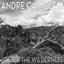 Lost in the Wilderness