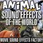 Animal Sound Effects of the World