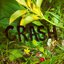 Crash