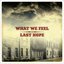 What We Feel & Last Hope - Split CD