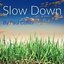 Slow Down