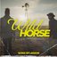 Wild Horse