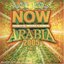 Now Thats What I Call Arabia 2005, Vol. 2