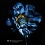 Don't Doubt (feat. Olivia Reid) - Single