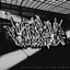 Cult Of the Curious Vol​.​2