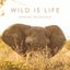 Wild Is Life