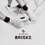 BRICKS