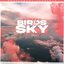 Birds In The Sky - Single