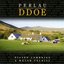 Perlau Ddoe (Pigion Cambrian A Welsh Teldisc)