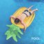 Pool - Single