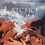 Latcho Drom: Bande Originale Du Film